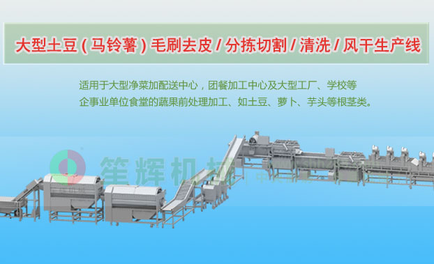 通许连续式土豆去皮清洗切割风干生产线